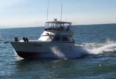 Lake Erie fishing charter boat Pooh Bear