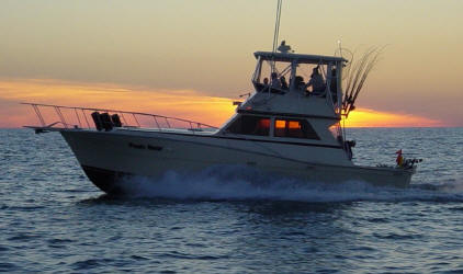 Lake Erie Fishing Charters - Charter fishing Lake Erie